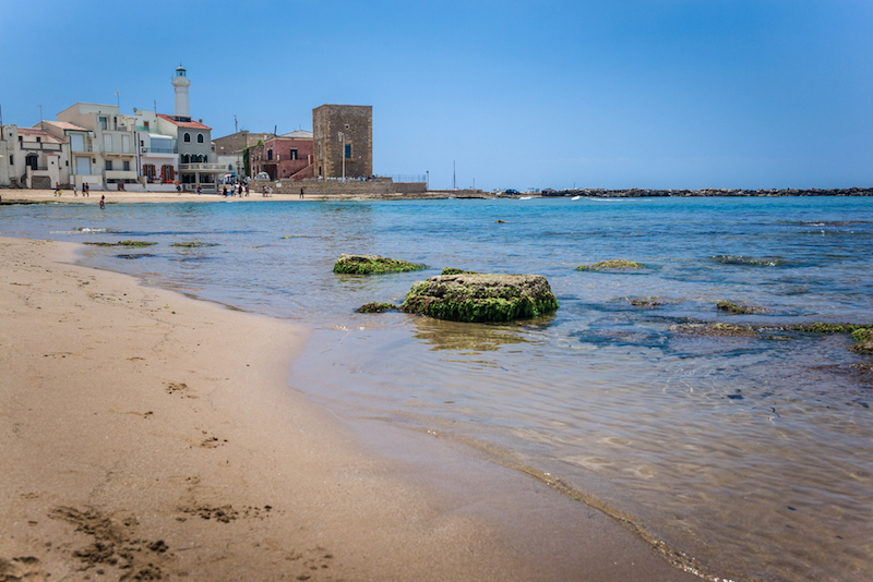 Tutti I Libri Di Montalbano In Ordine Cronologico